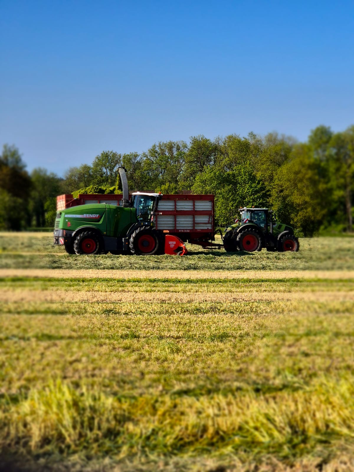 Häcksler und Transportwagen bei der Grasernte