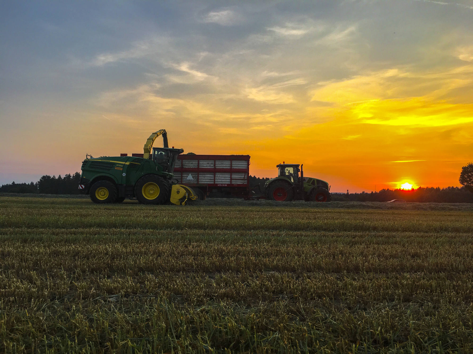 Silieren im Abendrot