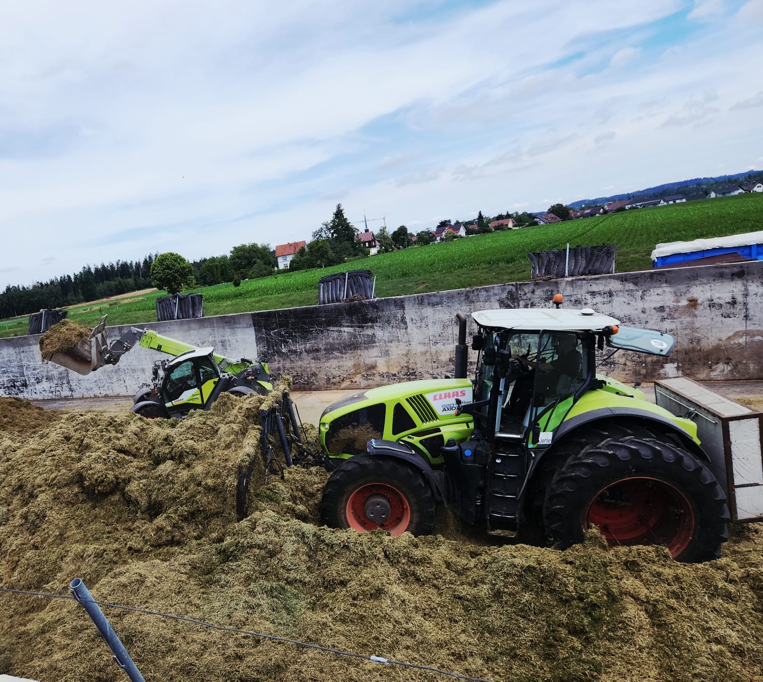 Verdichten der Grassilage im Fahrsilo mit Teleskoplader und Schlepper