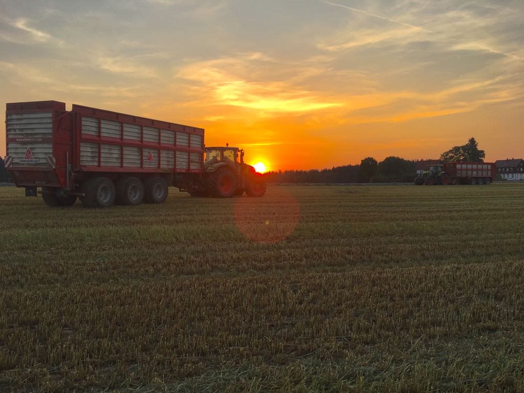 Schlepper mit Häckselwagen im Sonnenuntergang nach der Ernte