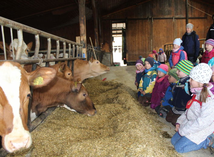 Rinder und Kinder
